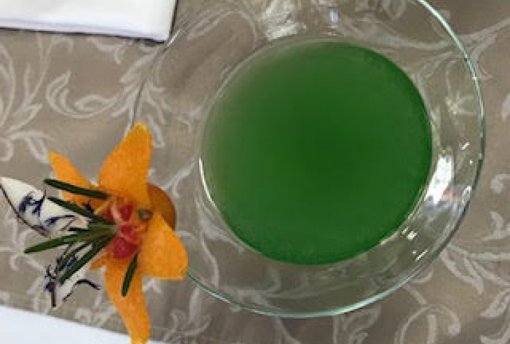 Petnaesto AEHT  G&T Cup 2021 natjecanje - Bled, Slovenija